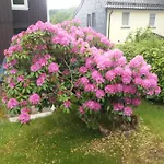 Haus Bergeshoeh Apartamento Braunlage