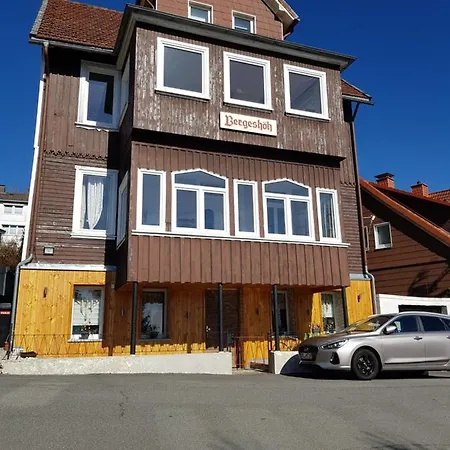 Haus Bergeshoeh Lägenhet Braunlage