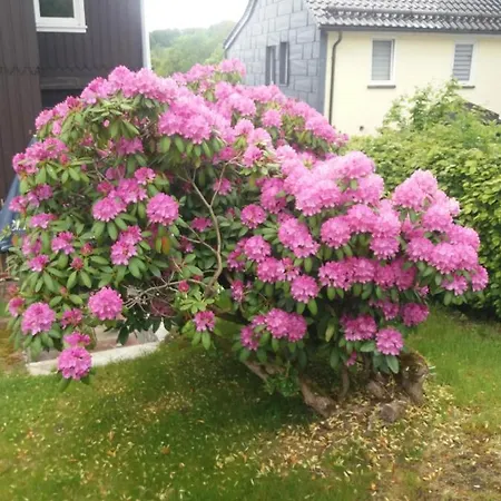 Haus Bergeshoeh Lägenhet Braunlage