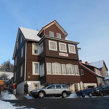 Апартаменты Haus Bergeshoeh