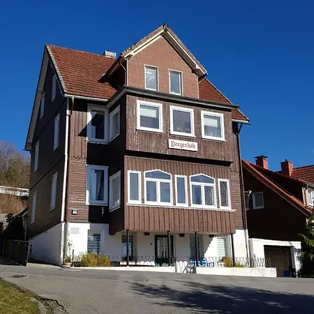 Haus Bergeshoeh Апартаменты *