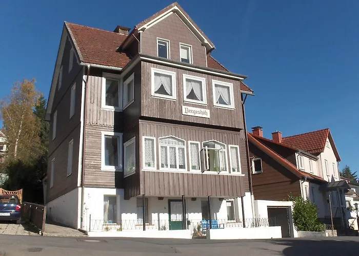 Апартаменты Haus Bergeshoeh Браунлаге