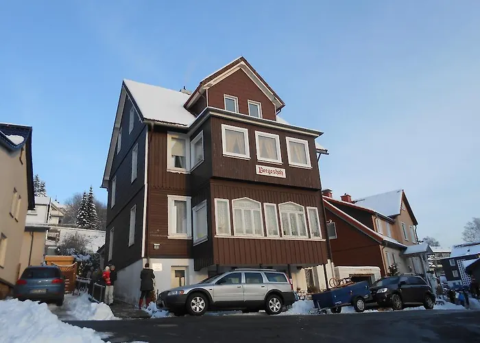 Апартаменты Haus Bergeshoeh